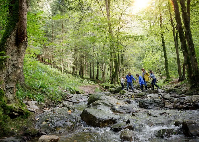 Center Parcs Les Ardennes 3*