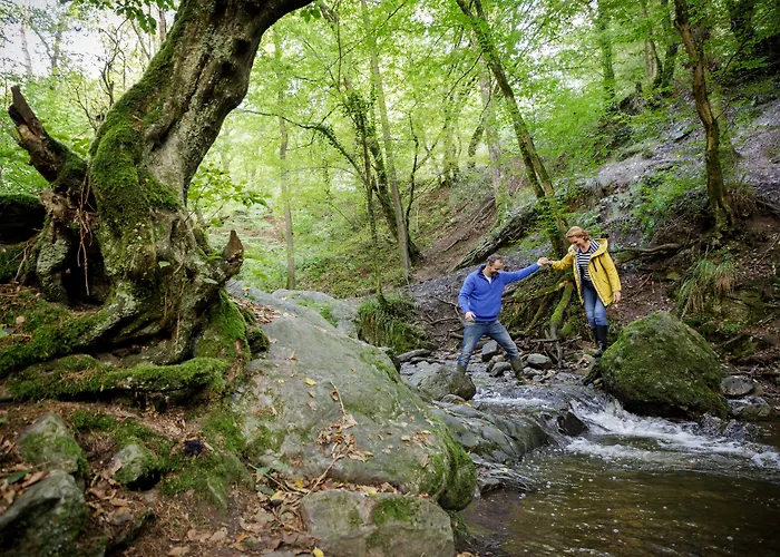 Center Parcs Les Ardennes Kompleks wypoczynkowy