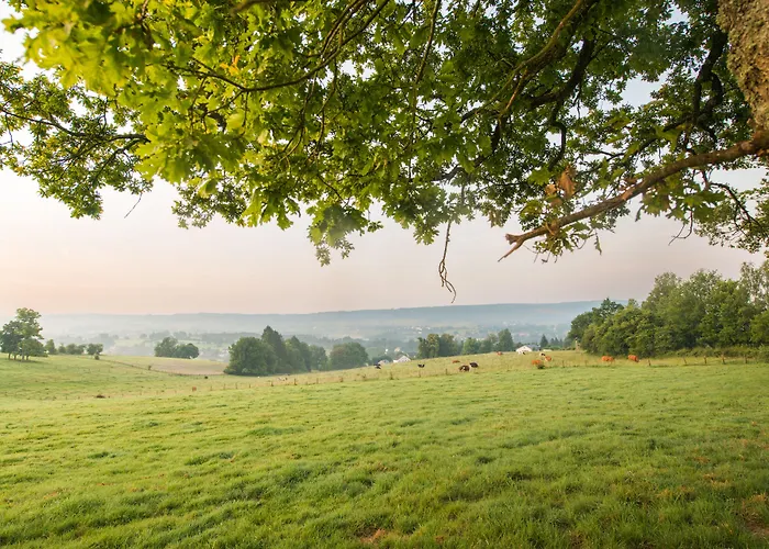 Center Parcs Les Ardennes Feriepark 3*