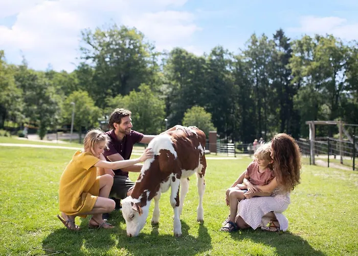 Center Parcs Les Ardennes 3* Vielsalm